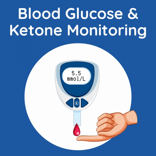 Blood Glucose and Ketone Monitoring